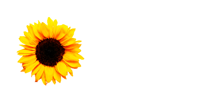 Haleys Holistic Health