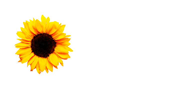 Haleys Holistic Health